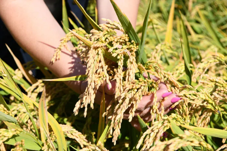 “Dost Mezat” ile genç ve kadın üreticilere nakit yem desteği