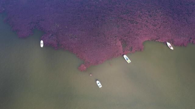 Terkos Gölü’nde renk cümbüşü