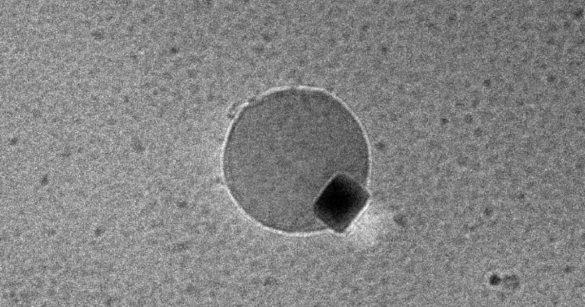 Hidrojen ve Oksijenin Moleküler Düzeyde Suya Dönüştüğü İlk görüntüler izlendi