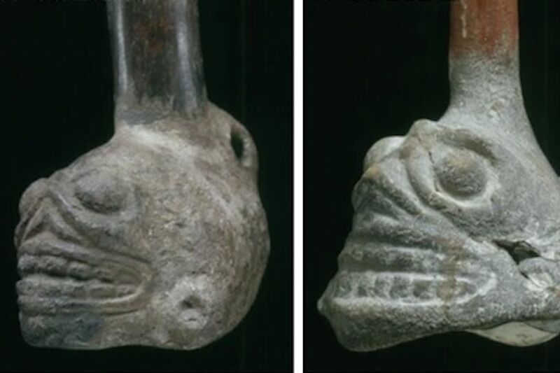 Aztek Ölüm Düdükleri İnsanlarda Dehşet Verici Bir Etki Yaratıyordu