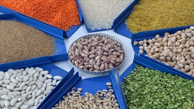 Hububat ve bakliyat ihracatı 9,7 milyar dolar oldu