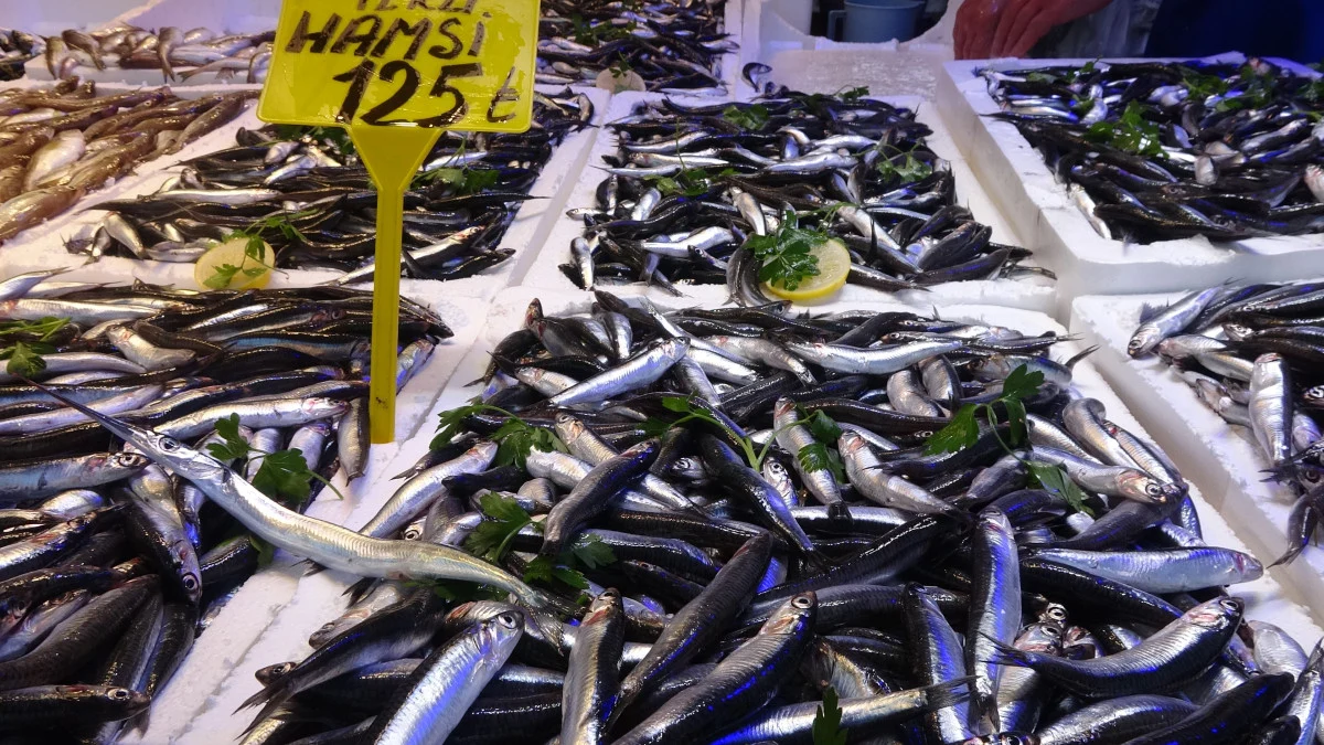 Karadeniz’de tezgahlarda hamsi bolluğu