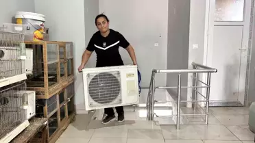 Kaybedilen Kızın Hatırası: Nurgül’ün Mücadelesi