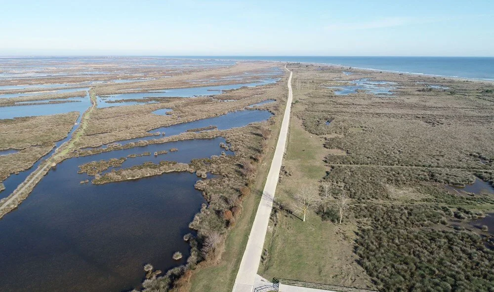 Kızılırmak Deltası’nda İstilacı Türler Araştırılıyor