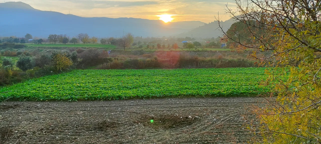 Ege’nin Bereketli Topraklarından Küçük Menderes Ovası