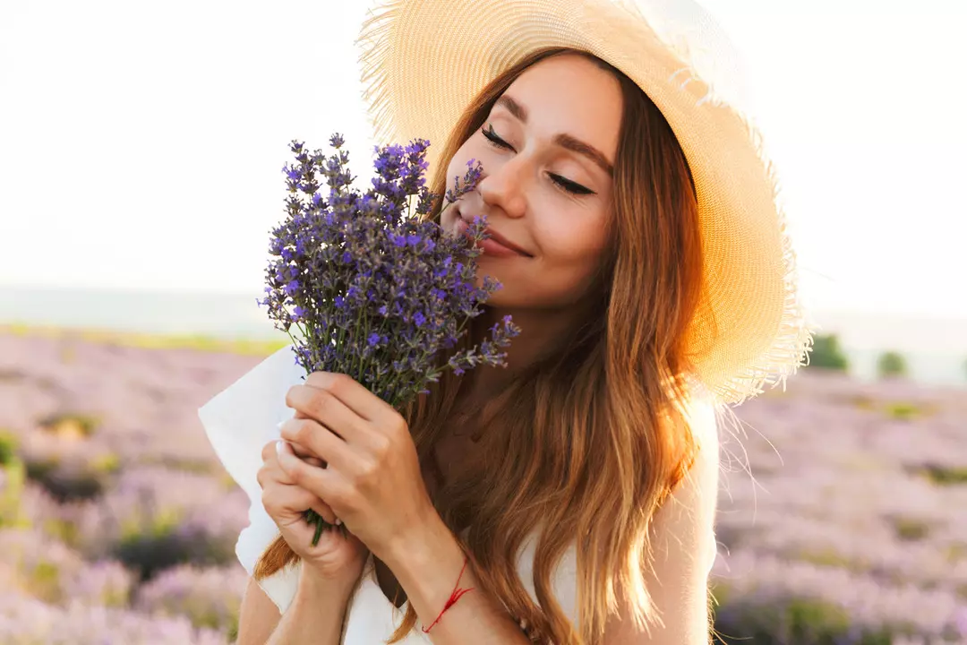 Hava filtresi gibi çalışıyorlar…Deliksiz uyumak için yatak odasına koyulabilecek 5 bitki! 