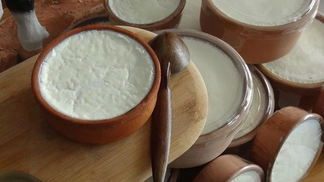 ‘Yeni yoğurt formülasyonu’ ile Anadolu mayaları sofralarla buluşacak