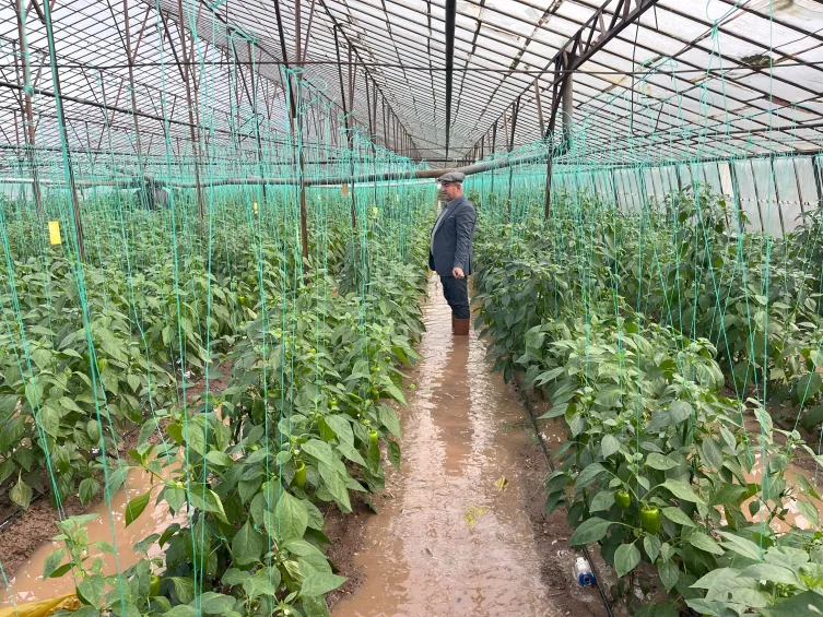 Antalya’da sera ve evleri sağanak vurdu