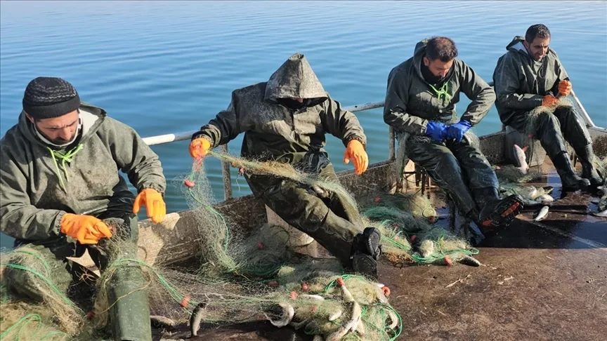Van’daki Erçek Gölü’nde balıkçıların kış mesaisi sürüyor