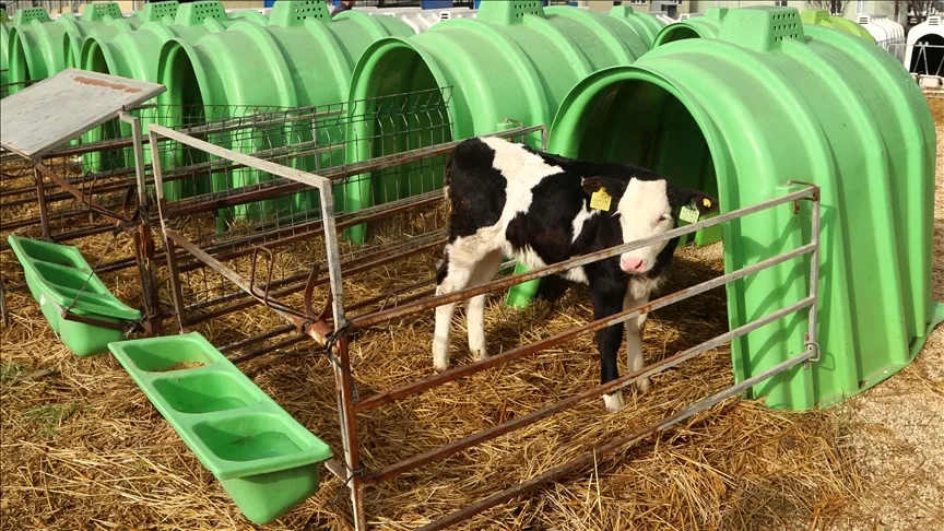 Türkiye’nin hayvansal ve bitkisel atık potansiyelini değerlendirmek için 5 milyar dolarlık yatırım gerekiyor