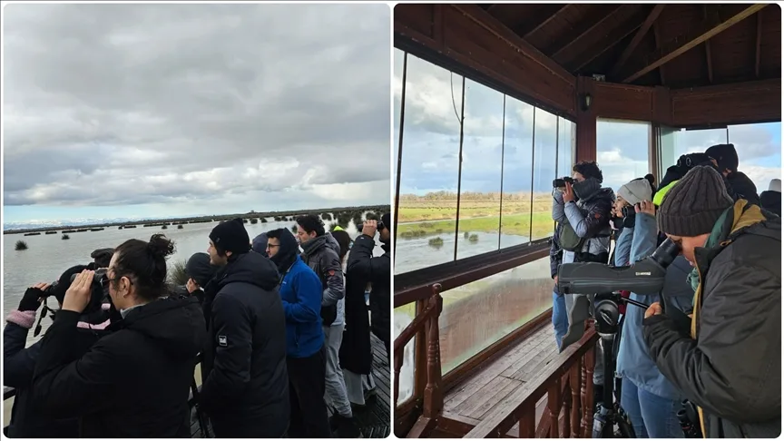 Kızılırmak Deltası’nda kış ortası su kuşu sayımında 71 türden yaklaşık 98 bin kuş tespit edildi