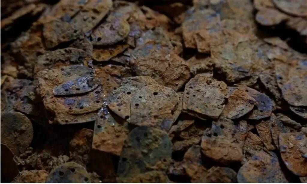 Antik Mezarda Bulunan 2.000 Yıllık Eşsiz Kompozit Balık Pulu Zırhı