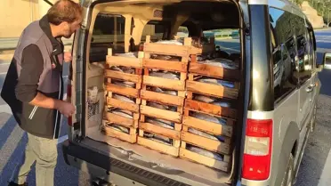 Sinop’ta 50 Ton Su Ürününe El Konuldu