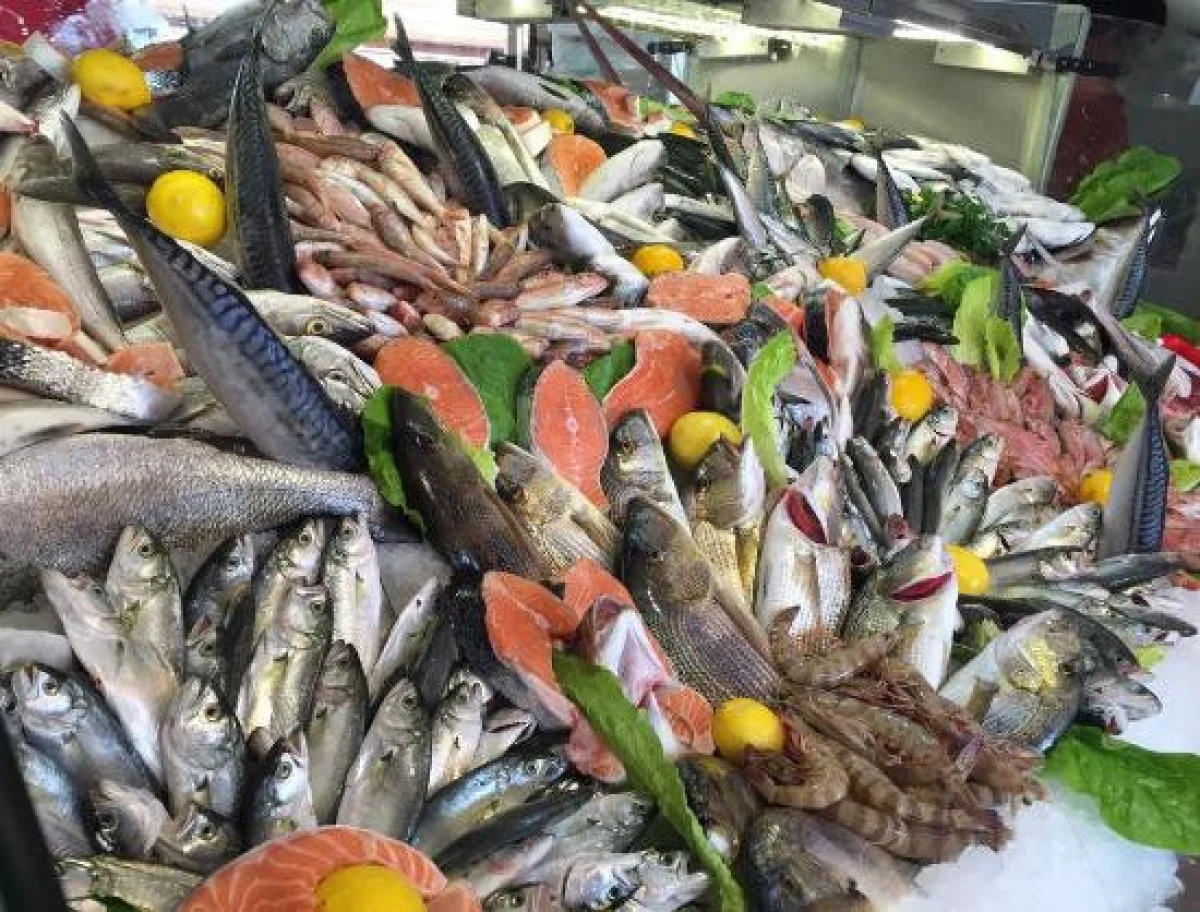 Tazesi vitamin deposu! İşte, Aralık ayında yenilmesi gereken balıklar…