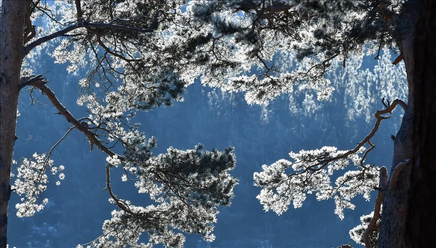 Erzurum, Kars ve Ardahan’da dondurucu soğuklar etkili oluyor