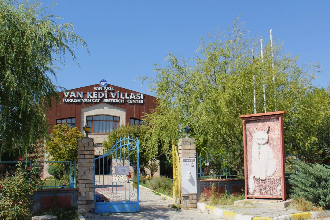 Van Kedi Villası