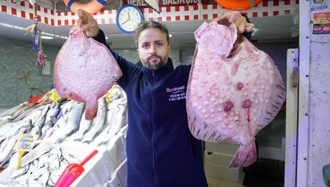 Fiyatı altınla yarışıyordu: Kilosu 200 TL’ye düştü