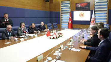 Türkiye-Gürcistan Dostluk Görüşmesi