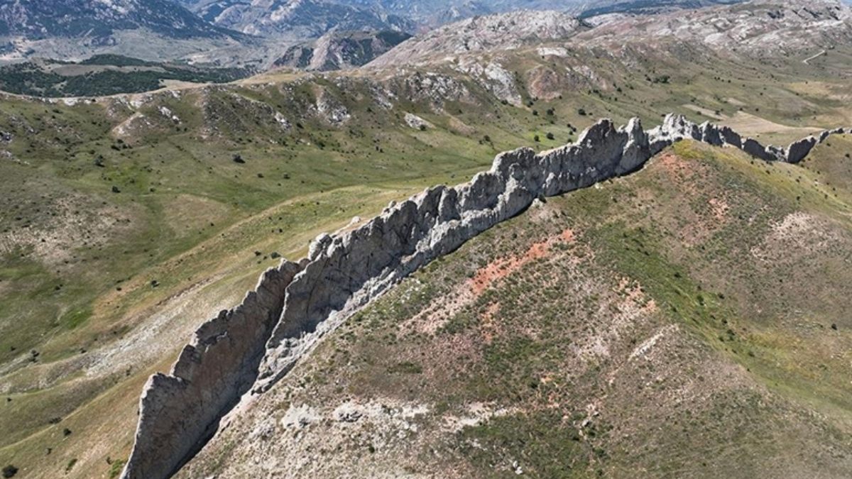 Bir Çin’de var bir Sivas’ta: Herkes dünyada tek sanıyordu