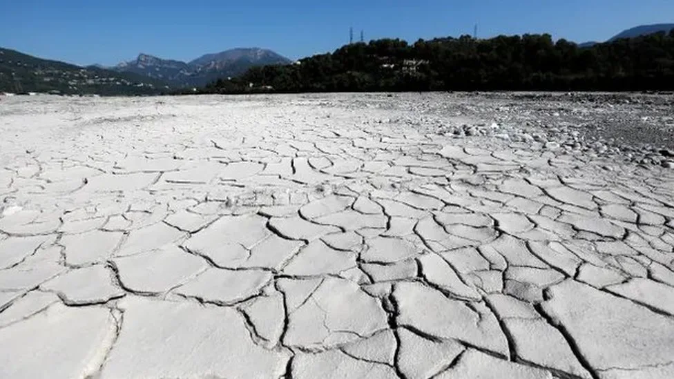 15 sivil toplum kuruluşu ‘İklim kriziyle mücadele için’ güç birliği yapıyor 