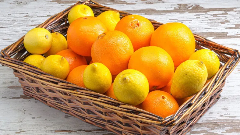 Aynı Familyadan Olmalarına Rağmen Limon ve Portakalın Birbirlerinden Tamamen Farklı Kokuda Olmalarının İlginç Sebebi