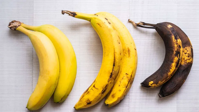 Muz Gibi Bazı Meyvelerin Toplandıktan Sonra Bile Hâlâ Olgunlaşmaya Devam Etmesinin Çok Mantıklı Bulacağınız Sebebi