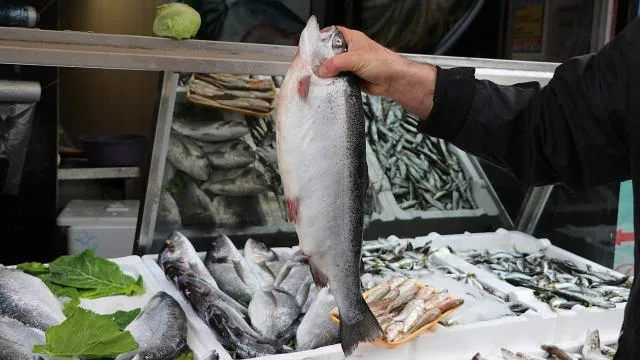 Türk somonu ihracatı artıyor