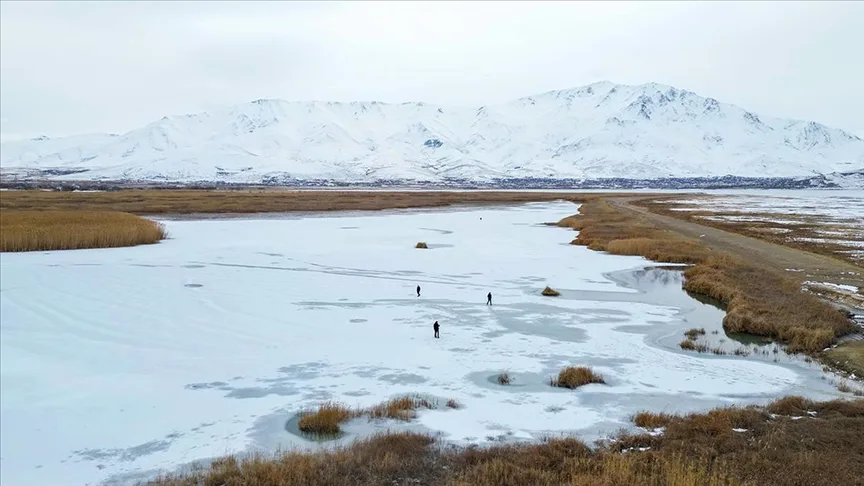 Van’daki Dilkaya Sazlığı’nın büyük bölümü buzla kaplandı