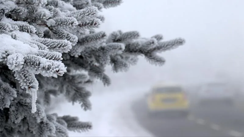 Aralıkta Erzurum kışı, Kastamonu yazı yaşadı
