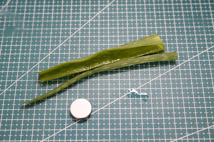 Çinko iyon pillerin performansı ve dayanıklılığı aloe verayla artırıldı