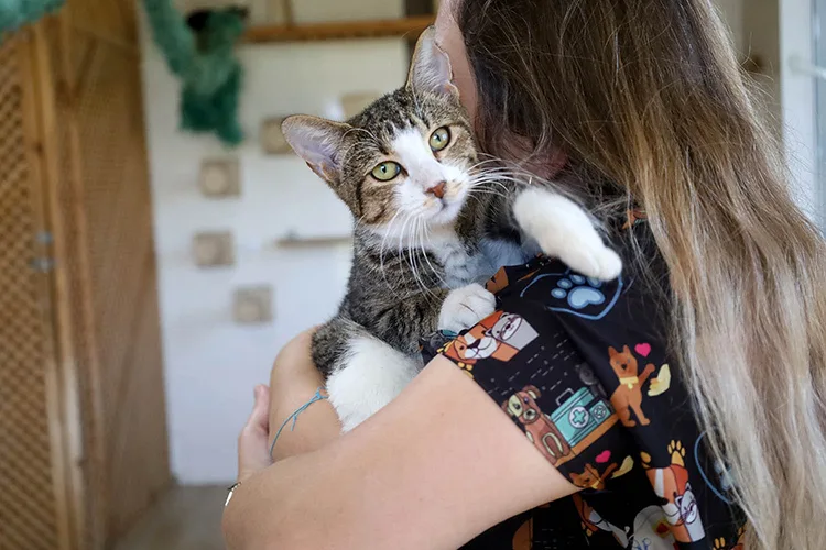 Sakarya Büyükşehir Belediyesi, bakım merkeziyle 8 bin “can dosta” şifa oldu