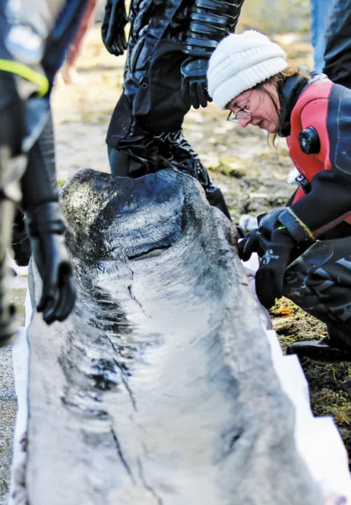 Arkeologlar, Amerikan Ortabatı’sında Mısır’ın Büyük Piramitleri Kadar Eski Kazık Kanolar Buldular