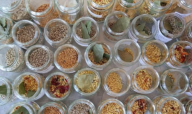 81 İlde Yerel Tohum Seferberliği! Ücretsiz Dağıtım Başlıyor