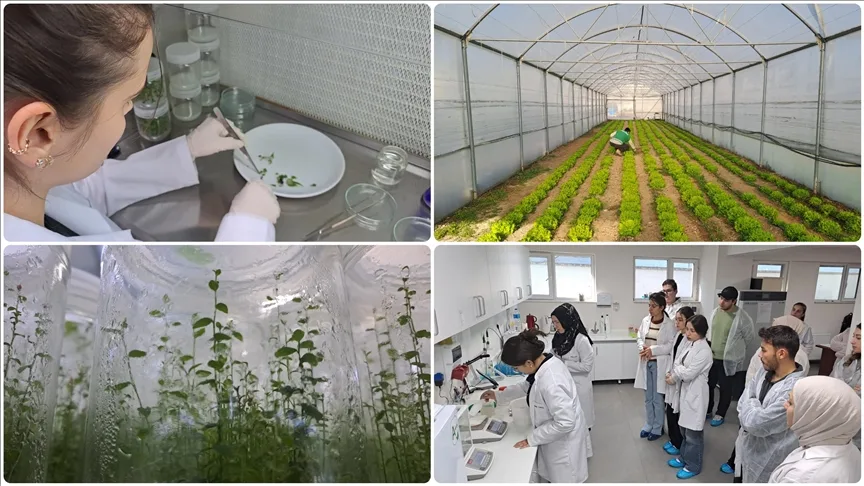 Sakarya’da ziraat mühendisi adayları, SUBÜ Doku Kültürü Laboratuvarı’nda sektöre hazırlanıyor