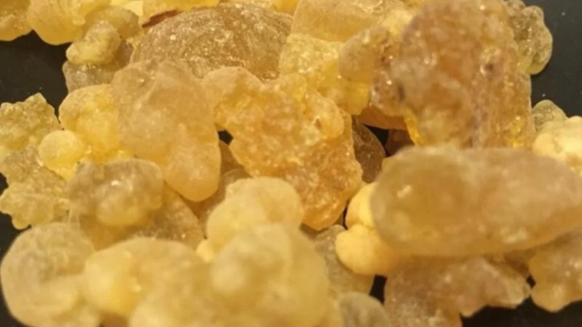 Aktarlar yetiştiremiyor; Bu sakızı çiğneyen tığ gibi oluyor