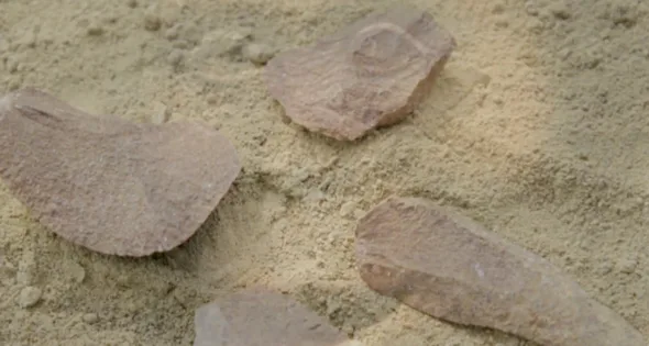 Arkeologlar, ‘insanlığın beşiği’nde 3 milyon yıllık aletler buldu
