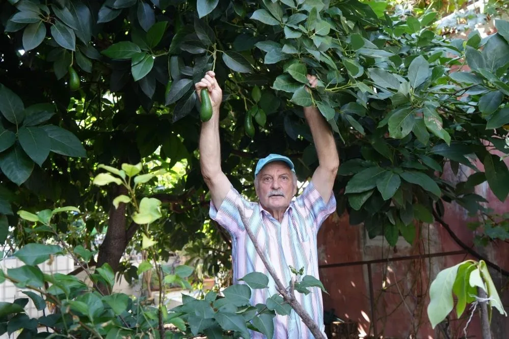 Bahçesinde 50 Ülkeden 200 Çeşit Meyve Yetiştiriyor