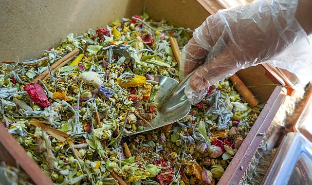 Kış Çayına Talep Arttı: Fiyatlar Yükseldi