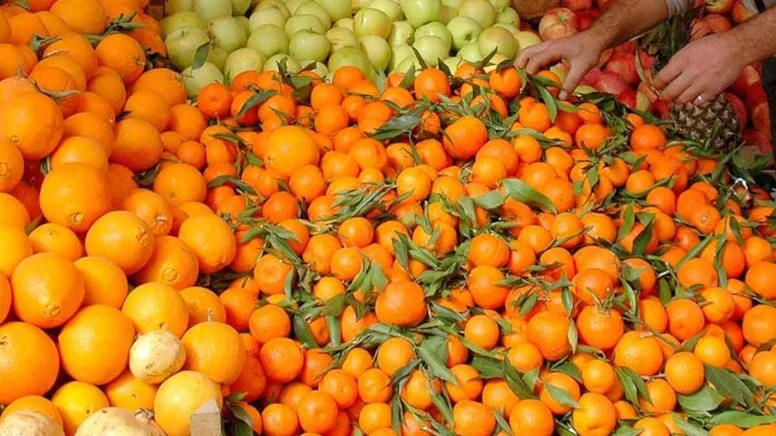 Hangisi sağlık için daha faydalı.. Mandalina mı portakal mı?
