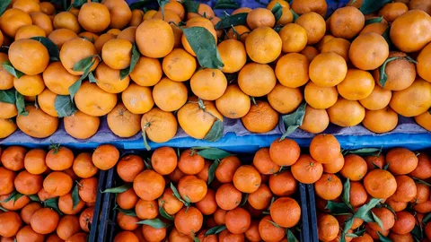 3 il narenciye ihracatının lokomotifi durumunda