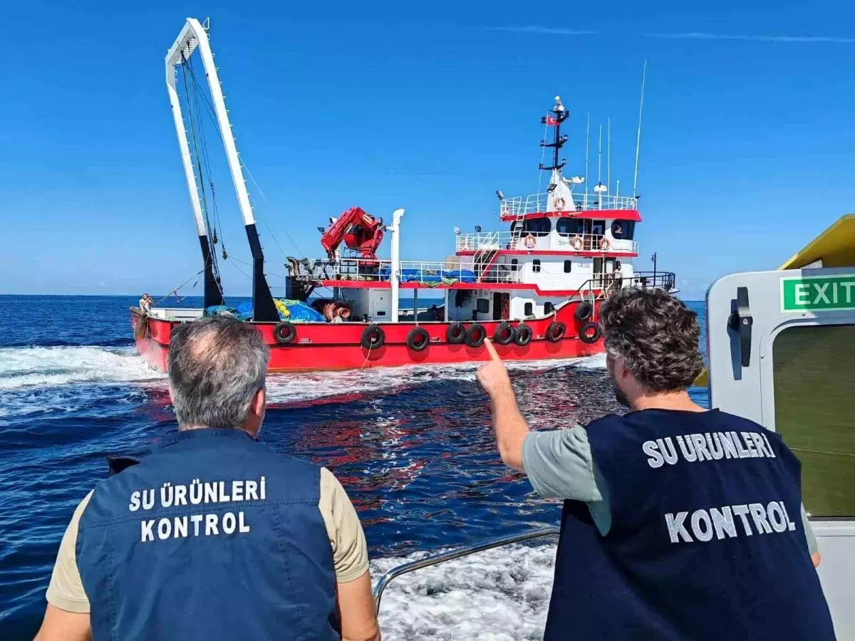 Sinop’ta Su Ürünleri Denetimi