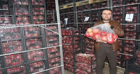 Samsat’ta Nar İhracatı İçin Numune Alındı