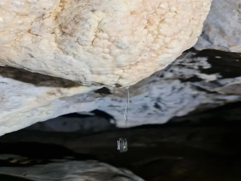  Samsun Bafra’da heyecanlandıran keşif!..’Ay sütü’