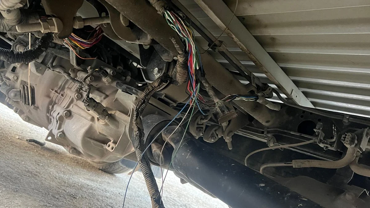 Sokak köpekleri kamyoneti parçaladı 200 bin liralık hasar verdiler