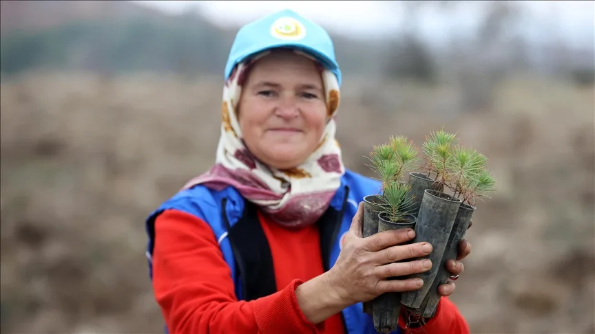 Kırklareli’nde fidanlar kadınların ellerinde yeşeriyor