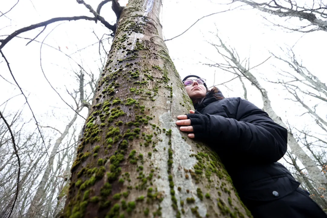 Toplum sağlığına doğadan destek: Orman banyosu