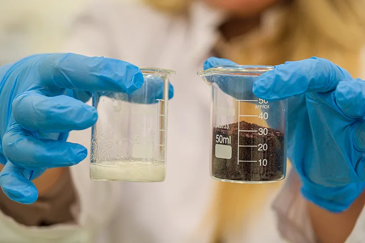 Hitit Üniversitesinde soğan kabuğu ve elma atıklarından “yara örtüsü” geliştirildi