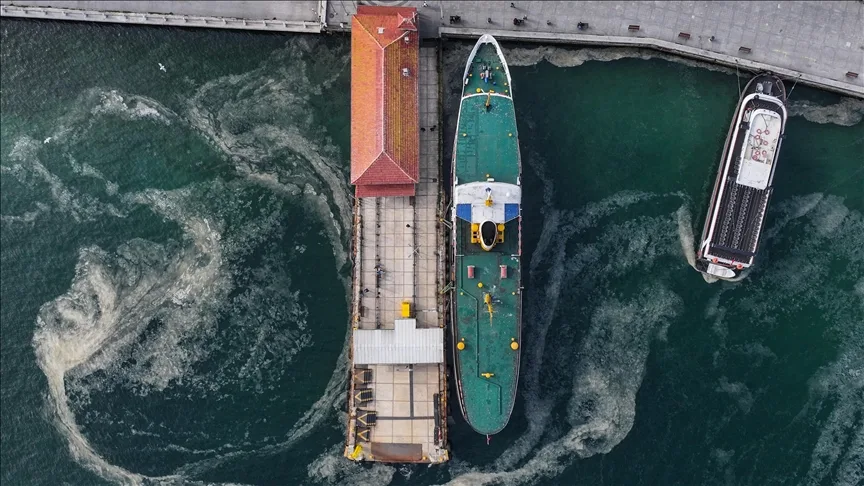 Deniz biyoloğu Prof. Dr. Taşkın, Marmara’da görülmeye başlanan müsilajı değerlendirdi: