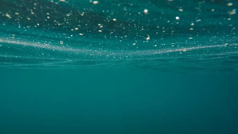 AB ülkelerinin yüzey sularının sadece yüzde 40’ından azı ekolojik standartları karşılıyor