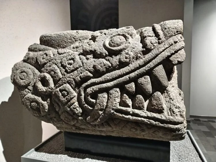 Kayıp Zapotek şehri